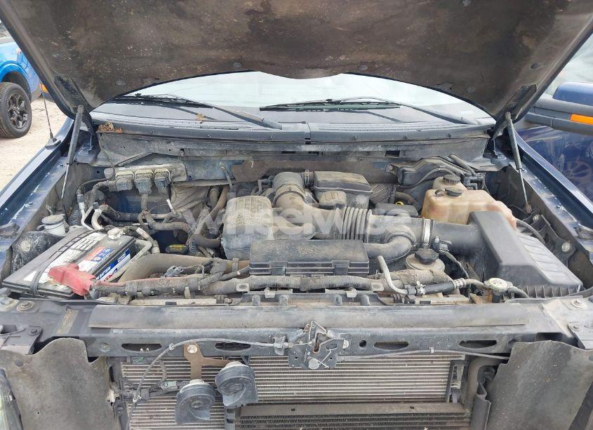 Photo 10 of 2010 Ford F-150 FX4/HARLEY-DAVIDSON/KING RANCH/LARIAT/PLATINUM/XL/XLT (VIN 1FTFW1EV2AKA98537)