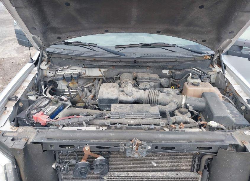 Photo 10 of 2010 Ford F150 SUPERCREW (VIN 1FTFW1EV3AFA00575)