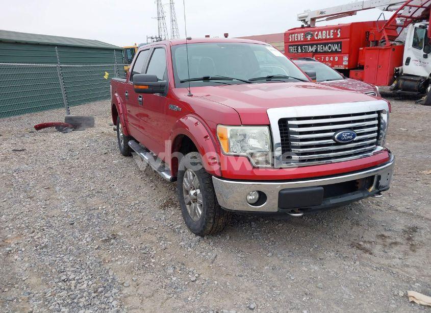 2010 Ford F-150 FX4/HARLEY-DAVIDSON/KING RANCH/LARIAT/PLATINUM/XL/XLT (VIN 1FTFW1EV3AFA03380) main photo