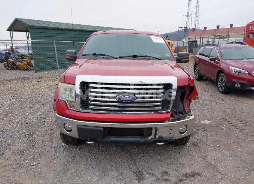 Photo 13 of 2010 Ford F-150 FX4/HARLEY-DAVIDSON/KING RANCH/LARIAT/PLATINUM/XL/XLT (VIN 1FTFW1EV3AFA03380)