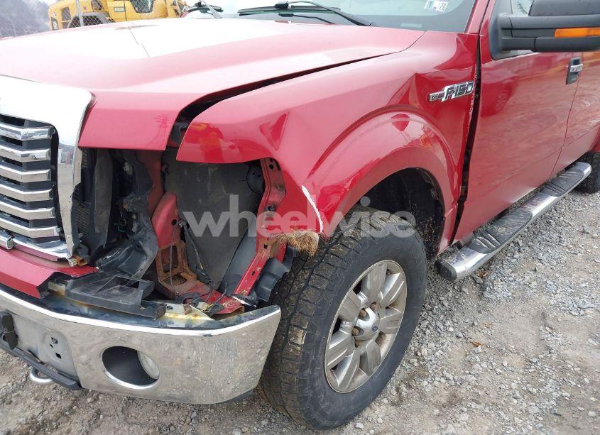 Photo 6 of 2010 Ford F-150 FX4/HARLEY-DAVIDSON/KING RANCH/LARIAT/PLATINUM/XL/XLT (VIN 1FTFW1EV3AFA03380)