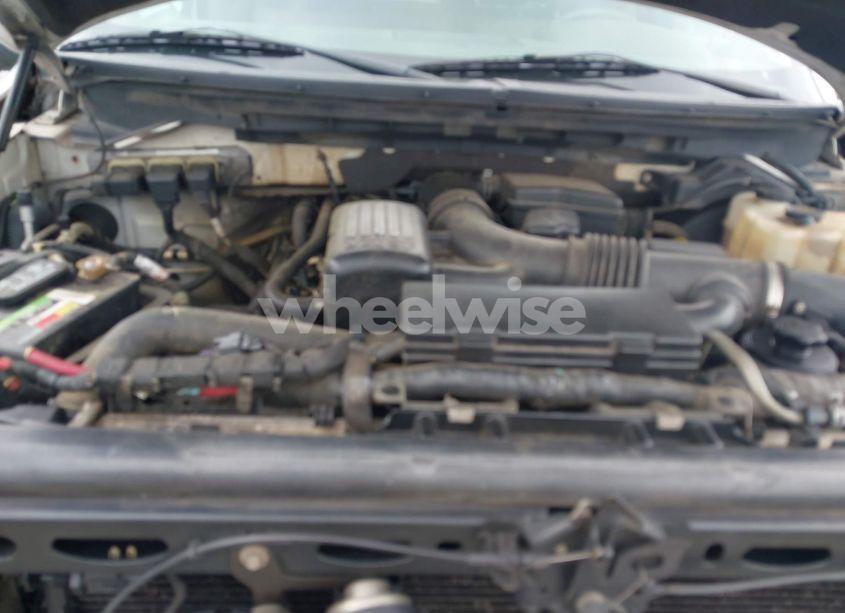 Photo 10 of 2010 Ford F-150 FX4/HARLEY-DAVIDSON/KING RANCH/LARIAT/PLATINUM/XL/XLT (VIN 1FTFW1EV3AFA74336)