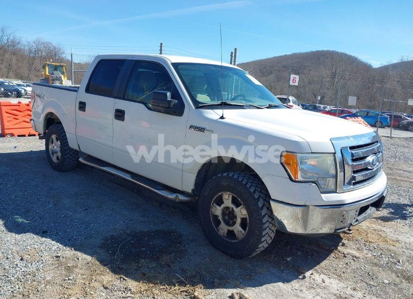 2010 Ford F-150 FX4/HARLEY-DAVIDSON/KING RANCH/LARIAT/PLATINUM/XL/XLT (VIN 1FTFW1EV3AFB49746) main photo