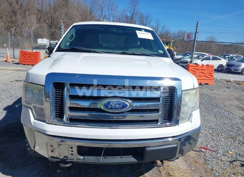 Photo 12 of 2010 Ford F-150 FX4/HARLEY-DAVIDSON/KING RANCH/LARIAT/PLATINUM/XL/XLT (VIN 1FTFW1EV3AFB49746)