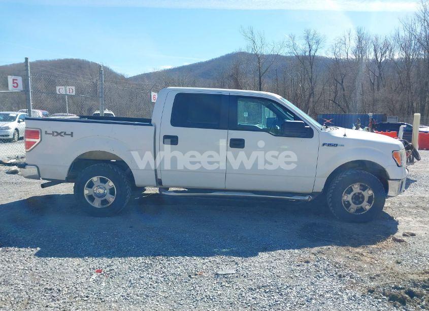 Photo 13 of 2010 Ford F-150 FX4/HARLEY-DAVIDSON/KING RANCH/LARIAT/PLATINUM/XL/XLT (VIN 1FTFW1EV3AFB49746)