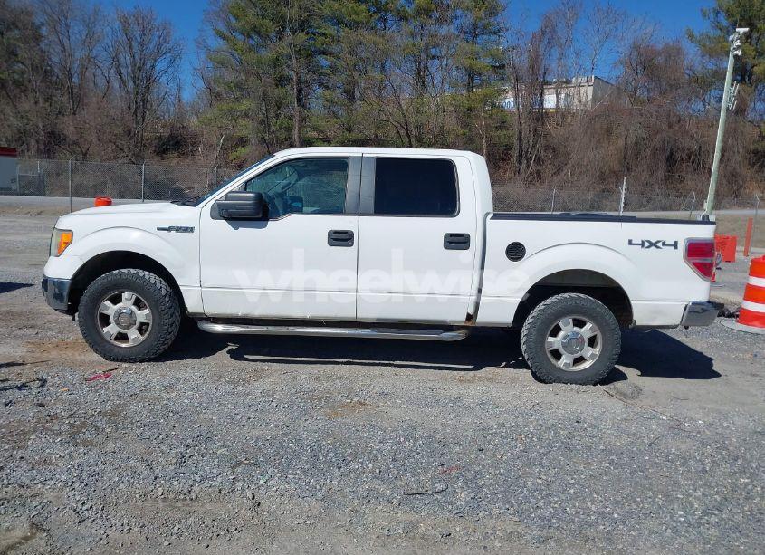 Photo 14 of 2010 Ford F-150 FX4/HARLEY-DAVIDSON/KING RANCH/LARIAT/PLATINUM/XL/XLT (VIN 1FTFW1EV3AFB49746)