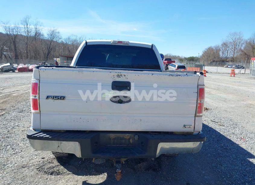 Photo 16 of 2010 Ford F-150 FX4/HARLEY-DAVIDSON/KING RANCH/LARIAT/PLATINUM/XL/XLT (VIN 1FTFW1EV3AFB49746)