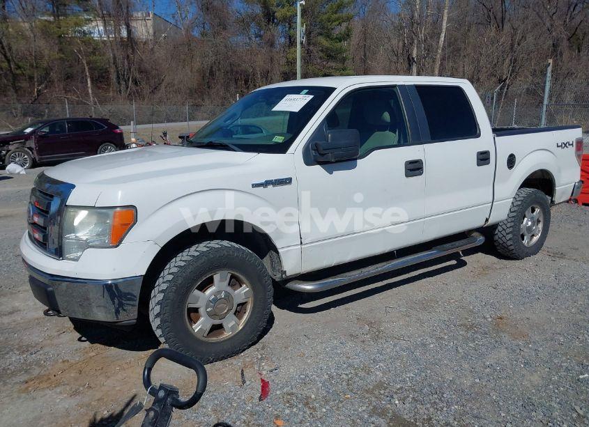 Photo 2 of 2010 Ford F-150 FX4/HARLEY-DAVIDSON/KING RANCH/LARIAT/PLATINUM/XL/XLT (VIN 1FTFW1EV3AFB49746)