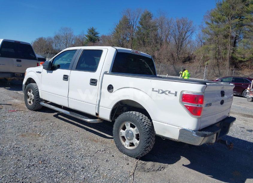 Photo 3 of 2010 Ford F-150 FX4/HARLEY-DAVIDSON/KING RANCH/LARIAT/PLATINUM/XL/XLT (VIN 1FTFW1EV3AFB49746)