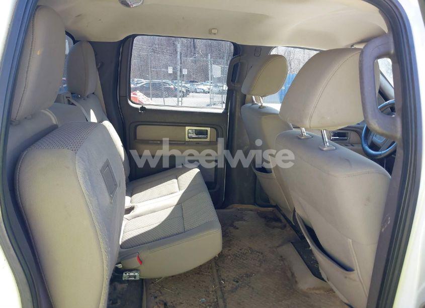 Photo 8 of 2010 Ford F-150 FX4/HARLEY-DAVIDSON/KING RANCH/LARIAT/PLATINUM/XL/XLT (VIN 1FTFW1EV3AFB49746)