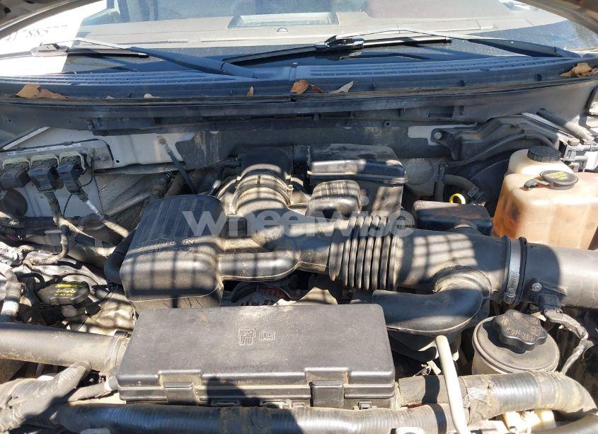 Photo 10 of 2010 Ford F-150 FX4/HARLEY-DAVIDSON/KING RANCH/LARIAT/PLATINUM/XL/XLT (VIN 1FTFW1EV3AFB59600)