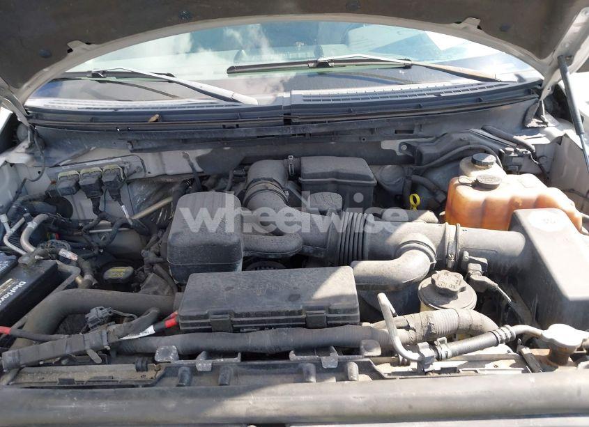 Photo 10 of 2010 Ford F-150 XLT (VIN 1FTFW1EV3AFB95996)