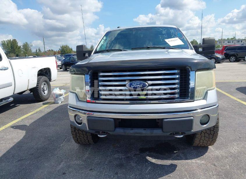 Photo 12 of 2010 Ford F-150 XLT (VIN 1FTFW1EV3AFB95996)