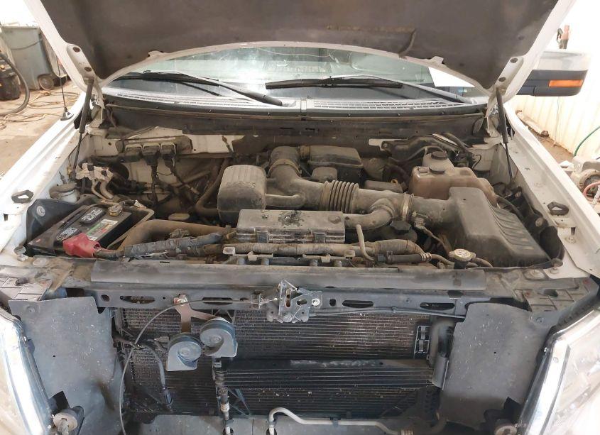 Photo 10 of 2010 Ford F-150 FX4/HARLEY-DAVIDSON/KING RANCH/LARIAT/PLATINUM/XL/XLT (VIN 1FTFW1EV3AFD79870)