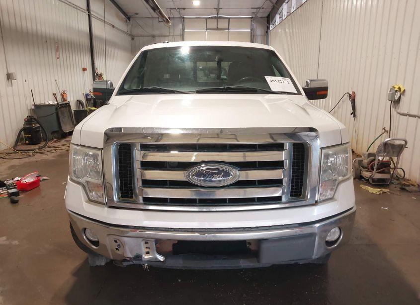 Photo 12 of 2010 Ford F-150 FX4/HARLEY-DAVIDSON/KING RANCH/LARIAT/PLATINUM/XL/XLT (VIN 1FTFW1EV3AFD79870)