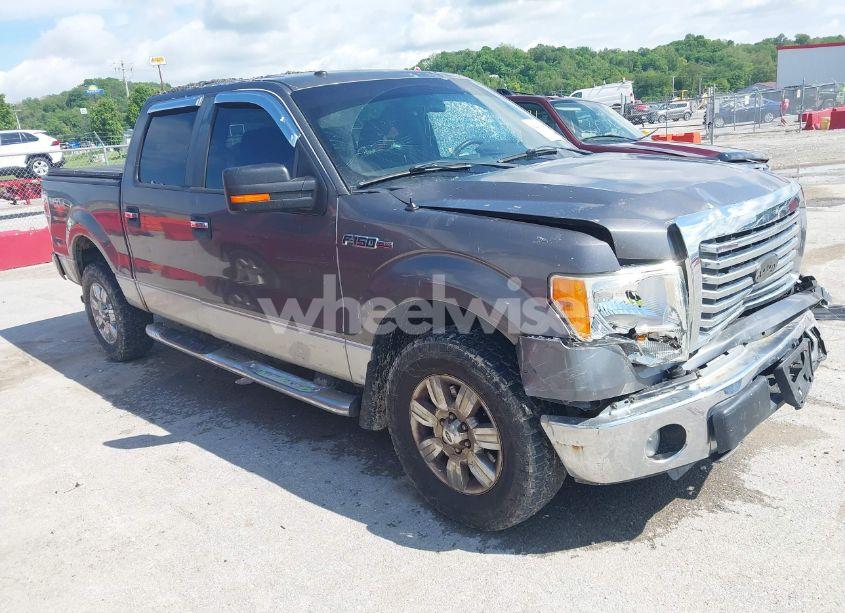 2010 Ford F-150 FX4/HARLEY-DAVIDSON/KING RANCH/LARIAT/PLATINUM/XL/XLT (VIN 1FTFW1EV3AKA21269) main photo