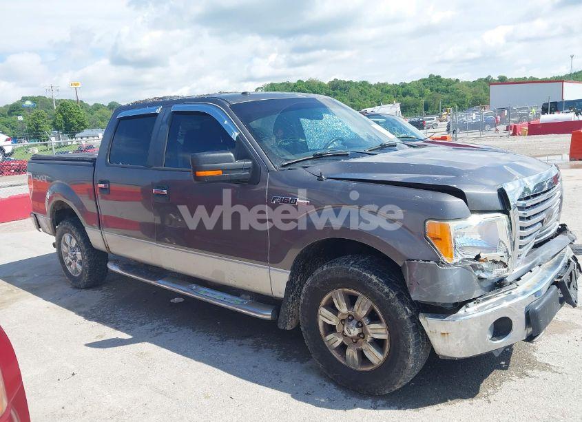 Photo 13 of 2010 Ford F-150 FX4/HARLEY-DAVIDSON/KING RANCH/LARIAT/PLATINUM/XL/XLT (VIN 1FTFW1EV3AKA21269)