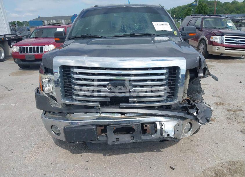 Photo 6 of 2010 Ford F-150 FX4/HARLEY-DAVIDSON/KING RANCH/LARIAT/PLATINUM/XL/XLT (VIN 1FTFW1EV3AKA21269)