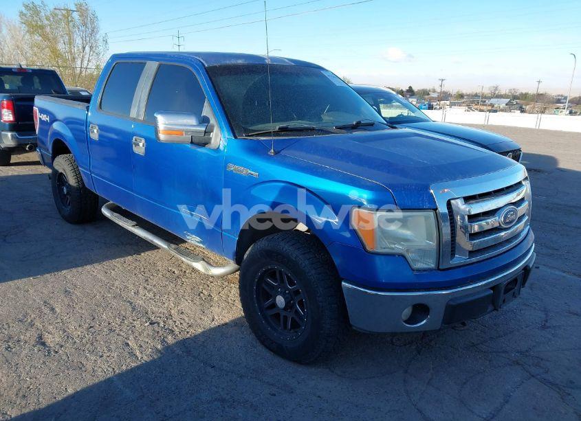 2010 Ford F-150 FX4/HARLEY-DAVIDSON/KING RANCH/LARIAT/PLATINUM/XL/XLT (VIN 1FTFW1EV3AKA23152) main photo