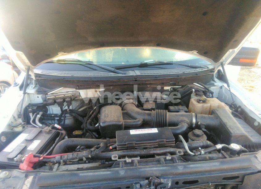 Photo 10 of 2010 Ford F-150 FX4/HARLEY-DAVIDSON/KING RANCH/LARIAT/PLATINUM/XL/XLT (VIN 1FTFW1EV3AKA58886)