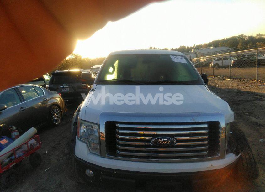 Photo 12 of 2010 Ford F-150 FX4/HARLEY-DAVIDSON/KING RANCH/LARIAT/PLATINUM/XL/XLT (VIN 1FTFW1EV3AKA58886)