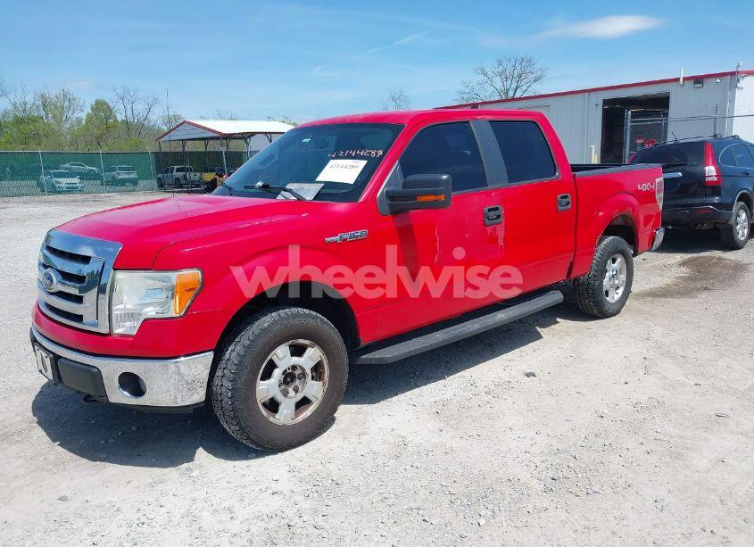 Photo 2 of 2010 Ford F-150 FX4/HARLEY-DAVIDSON/KING RANCH/LARIAT/PLATINUM/XL/XLT (VIN 1FTFW1EV3AKB55859)