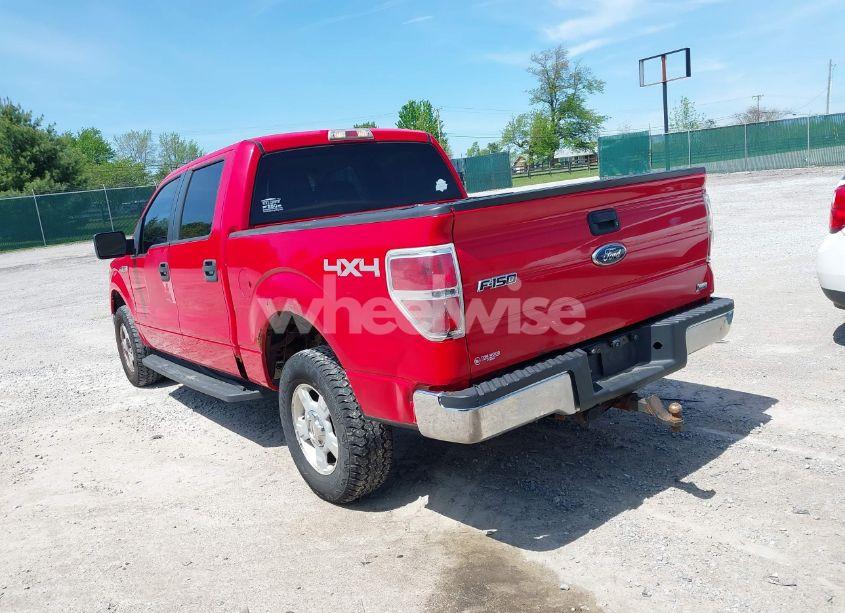 Photo 3 of 2010 Ford F-150 FX4/HARLEY-DAVIDSON/KING RANCH/LARIAT/PLATINUM/XL/XLT (VIN 1FTFW1EV3AKB55859)