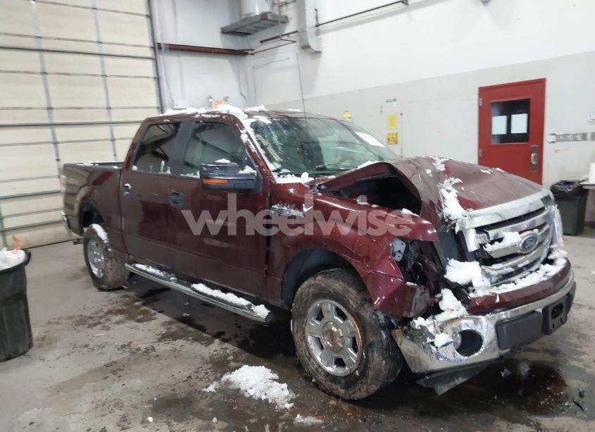 2010 Ford F-150 FX4/HARLEY-DAVIDSON/KING RANCH/LARIAT/PLATINUM/XL/XLT (VIN 1FTFW1EV3AKE65364) main photo