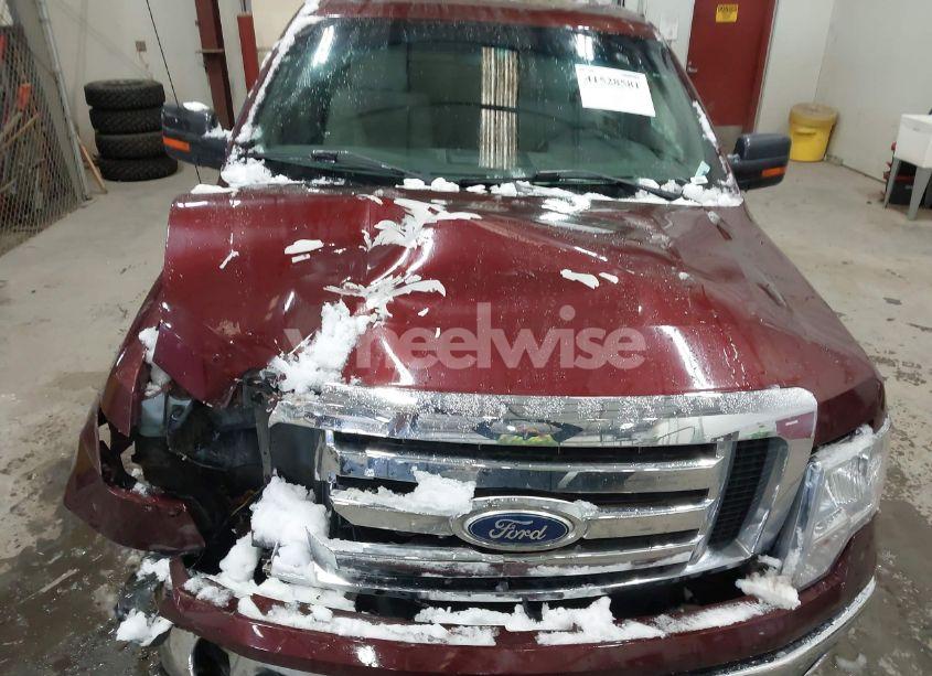 Photo 10 of 2010 Ford F-150 FX4/HARLEY-DAVIDSON/KING RANCH/LARIAT/PLATINUM/XL/XLT (VIN 1FTFW1EV3AKE65364)