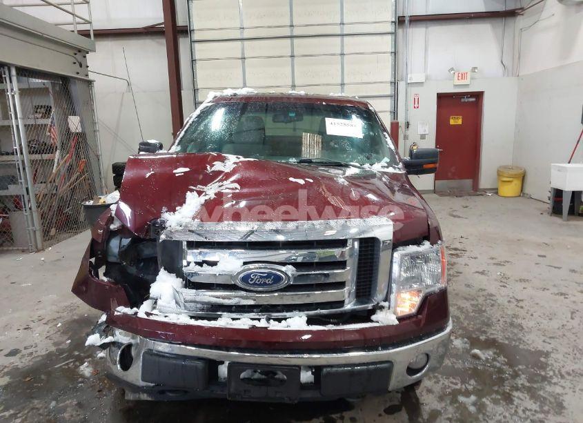 Photo 11 of 2010 Ford F-150 FX4/HARLEY-DAVIDSON/KING RANCH/LARIAT/PLATINUM/XL/XLT (VIN 1FTFW1EV3AKE65364)