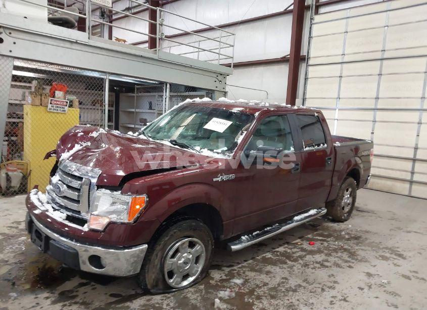 Photo 2 of 2010 Ford F-150 FX4/HARLEY-DAVIDSON/KING RANCH/LARIAT/PLATINUM/XL/XLT (VIN 1FTFW1EV3AKE65364)