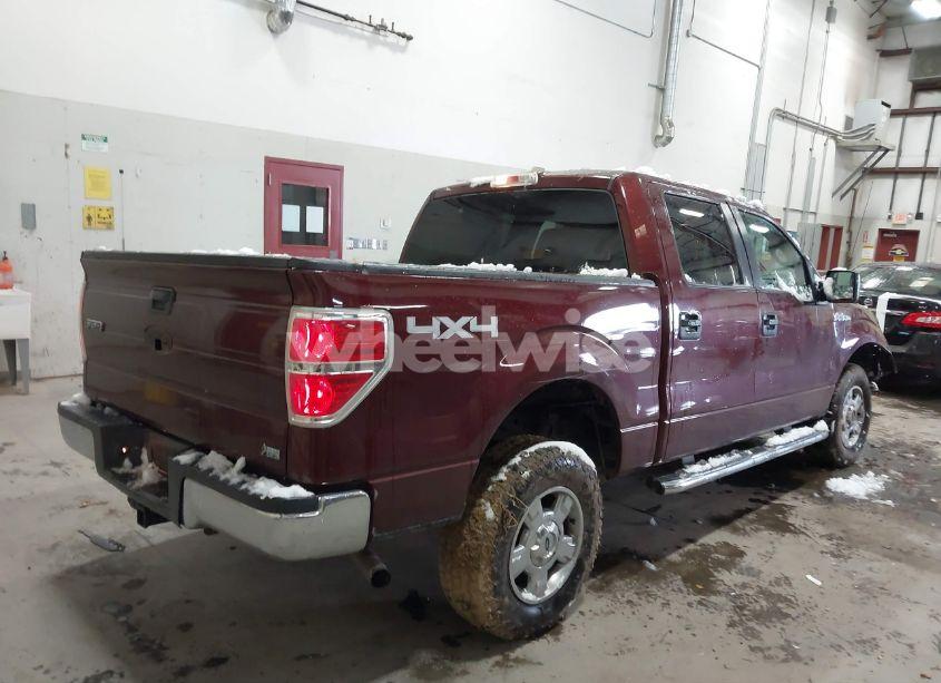 Photo 4 of 2010 Ford F-150 FX4/HARLEY-DAVIDSON/KING RANCH/LARIAT/PLATINUM/XL/XLT (VIN 1FTFW1EV3AKE65364)