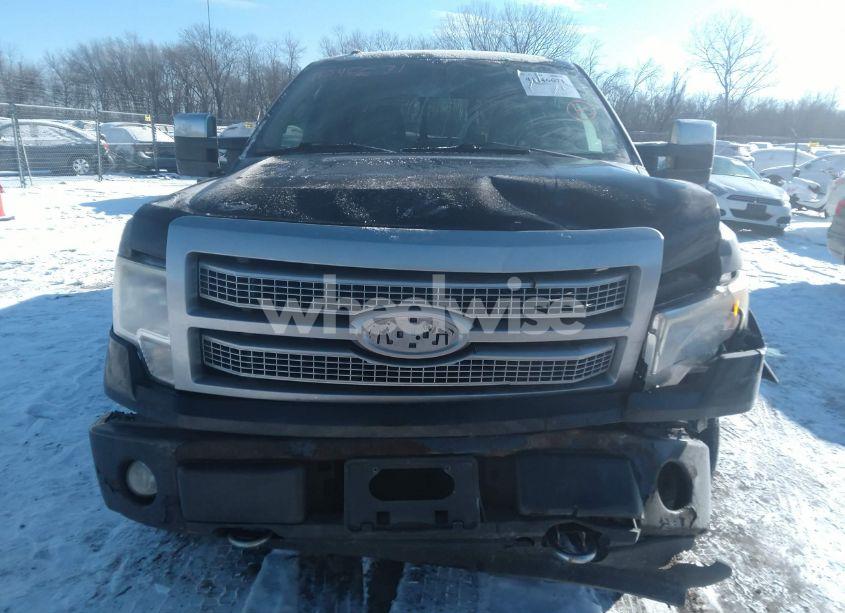 Photo 13 of 2010 Ford F-150 FX4/HARLEY-DAVIDSON/KING RANCH/LARIAT/PLATINUM/XL/XLT (VIN 1FTFW1EV4AFA58808)