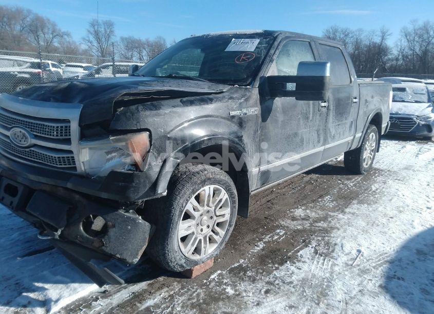 Photo 2 of 2010 Ford F-150 FX4/HARLEY-DAVIDSON/KING RANCH/LARIAT/PLATINUM/XL/XLT (VIN 1FTFW1EV4AFA58808)