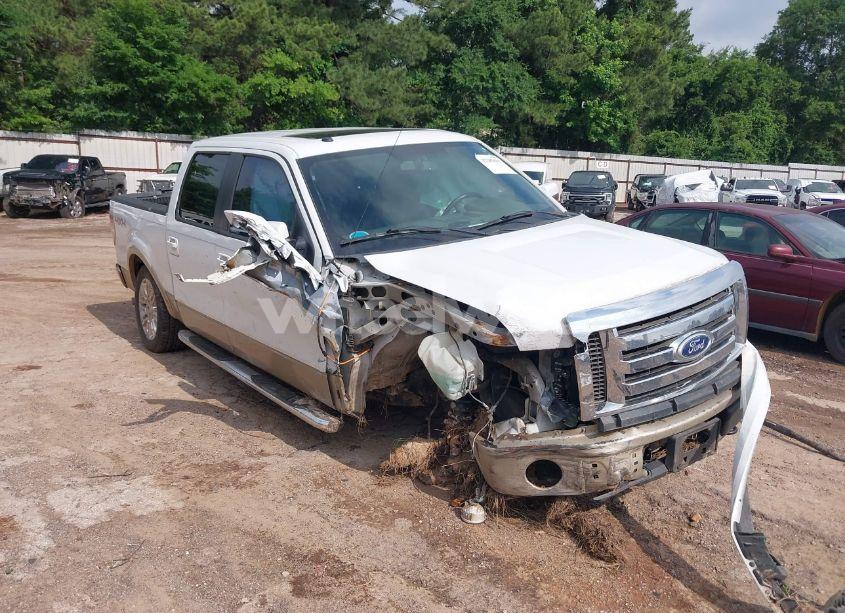 2010 Ford F-150 FX4/HARLEY-DAVIDSON/KING RANCH/LARIAT/PLATINUM/XL/XLT (VIN 1FTFW1EV4AFA68545) main photo