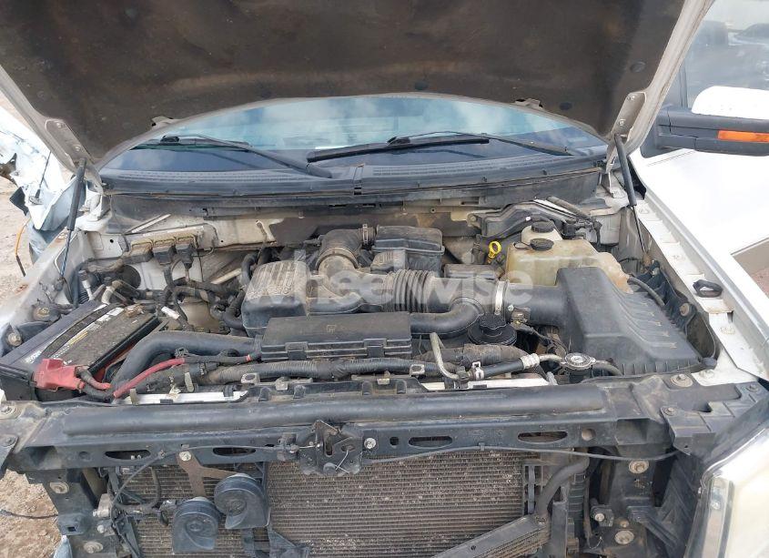 Photo 10 of 2010 Ford F-150 FX4/HARLEY-DAVIDSON/KING RANCH/LARIAT/PLATINUM/XL/XLT (VIN 1FTFW1EV4AFA68545)