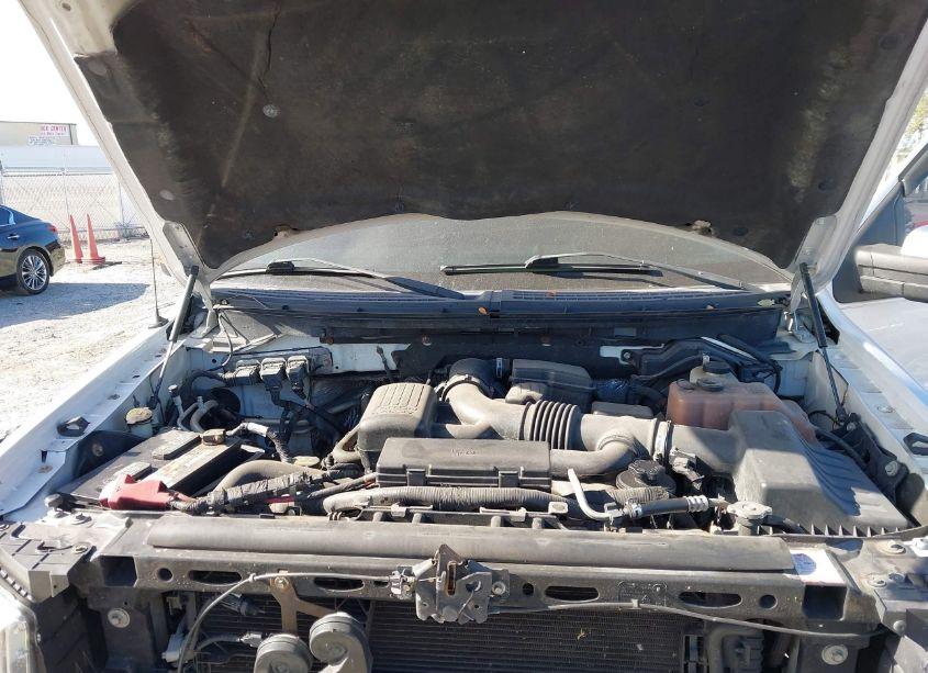 Photo 10 of 2010 Ford F-150 FX4/HARLEY-DAVIDSON/KING RANCH/LARIAT/PLATINUM/XL/XLT (VIN 1FTFW1EV4AFB07666)