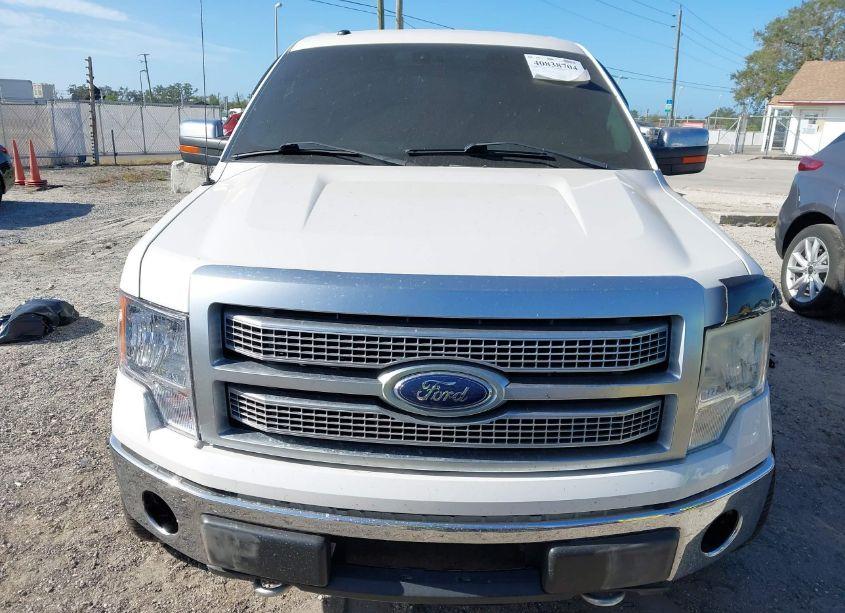 Photo 12 of 2010 Ford F-150 FX4/HARLEY-DAVIDSON/KING RANCH/LARIAT/PLATINUM/XL/XLT (VIN 1FTFW1EV4AFB07666)