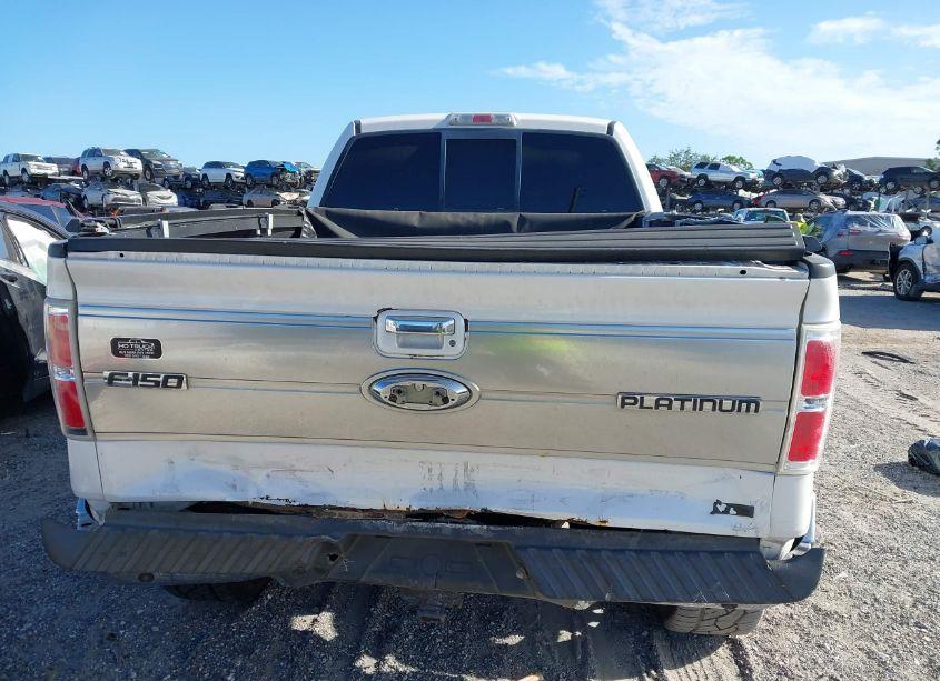 Photo 16 of 2010 Ford F-150 FX4/HARLEY-DAVIDSON/KING RANCH/LARIAT/PLATINUM/XL/XLT (VIN 1FTFW1EV4AFB07666)