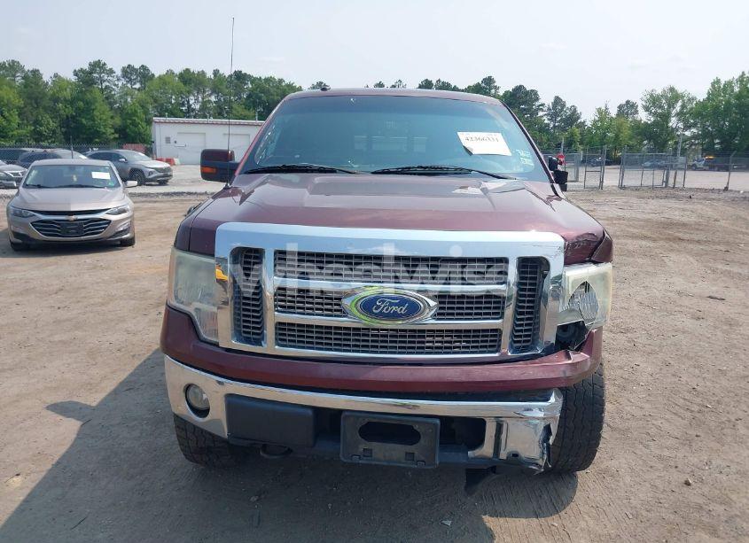 Photo 12 of 2010 Ford F-150 FX4/HARLEY-DAVIDSON/KING RANCH/LARIAT/PLATINUM/XL/XLT (VIN 1FTFW1EV4AFB22782)