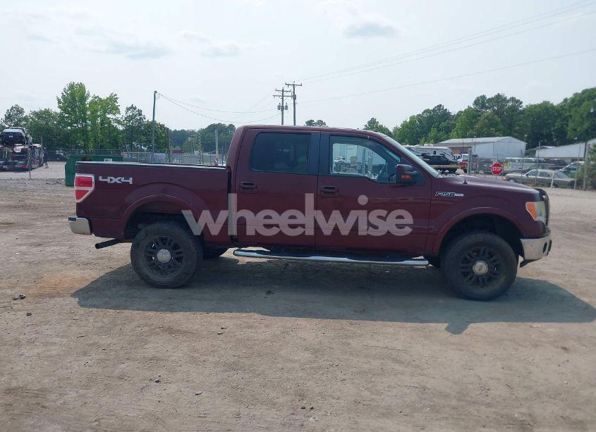 Photo 13 of 2010 Ford F-150 FX4/HARLEY-DAVIDSON/KING RANCH/LARIAT/PLATINUM/XL/XLT (VIN 1FTFW1EV4AFB22782)