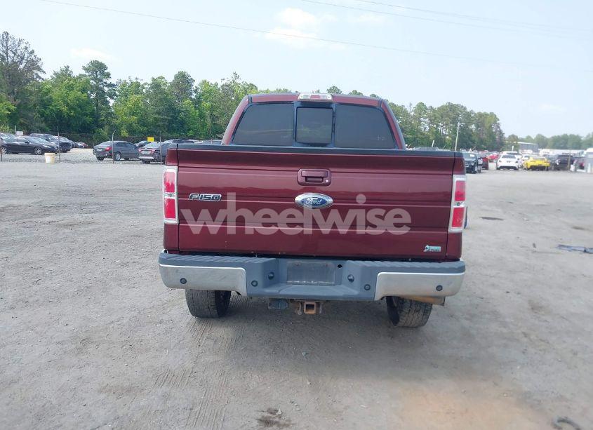 Photo 16 of 2010 Ford F-150 FX4/HARLEY-DAVIDSON/KING RANCH/LARIAT/PLATINUM/XL/XLT (VIN 1FTFW1EV4AFB22782)