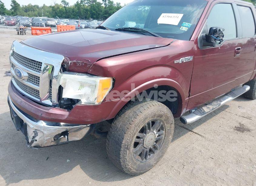 Photo 6 of 2010 Ford F-150 FX4/HARLEY-DAVIDSON/KING RANCH/LARIAT/PLATINUM/XL/XLT (VIN 1FTFW1EV4AFB22782)