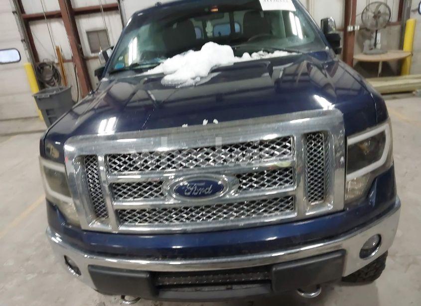 Photo 13 of 2010 Ford F-150 FX4/HARLEY-DAVIDSON/KING RANCH/LARIAT/PLATINUM/XL/XLT (VIN 1FTFW1EV4AFB27500)