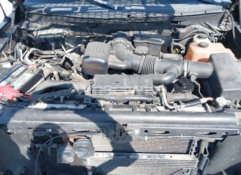 Photo 10 of 2010 Ford F-150 FX4/HARLEY-DAVIDSON/KING RANCH/LARIAT/PLATINUM/XL/XLT (VIN 1FTFW1EV4AFB72341)