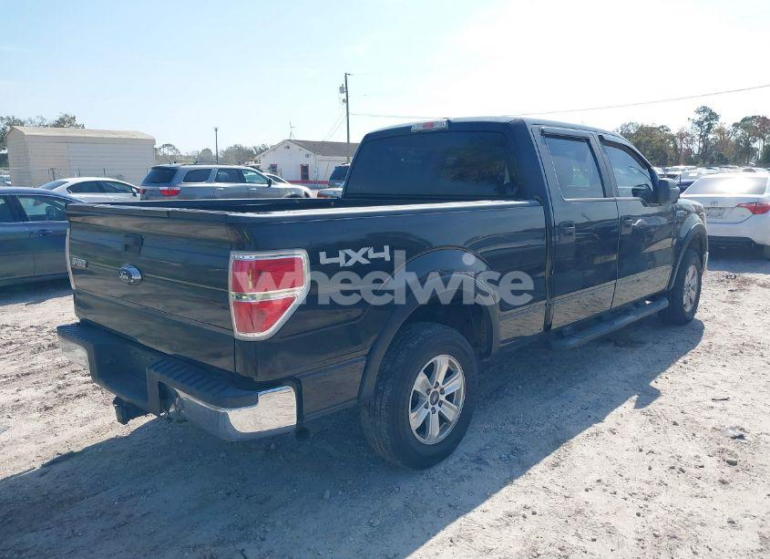 Photo 4 of 2010 Ford F-150 FX4/HARLEY-DAVIDSON/KING RANCH/LARIAT/PLATINUM/XL/XLT (VIN 1FTFW1EV4AFB72341)