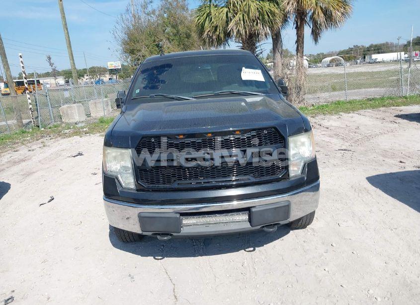 Photo 6 of 2010 Ford F-150 FX4/HARLEY-DAVIDSON/KING RANCH/LARIAT/PLATINUM/XL/XLT (VIN 1FTFW1EV4AFB72341)