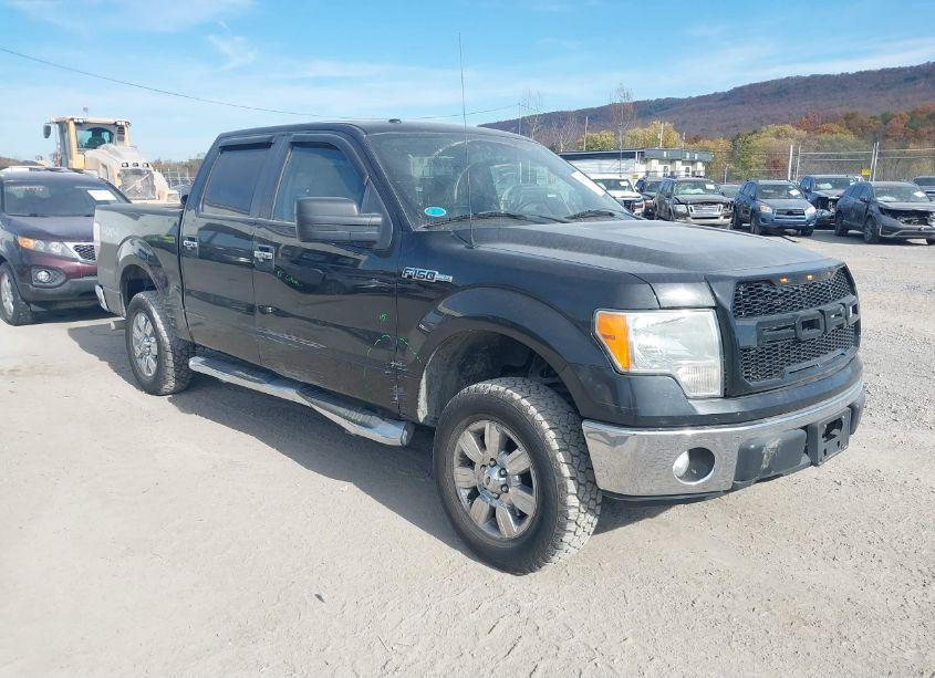 2010 Ford F-150 FX4/HARLEY-DAVIDSON/KING RANCH/LARIAT/PLATINUM/XL/XLT (VIN 1FTFW1EV4AFC06195) main photo