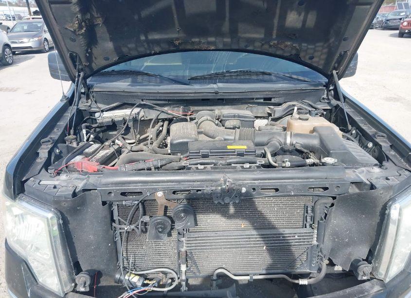 Photo 10 of 2010 Ford F-150 FX4/HARLEY-DAVIDSON/KING RANCH/LARIAT/PLATINUM/XL/XLT (VIN 1FTFW1EV4AFC06195)