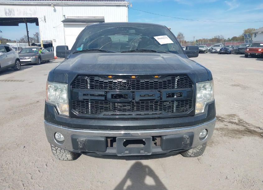 Photo 12 of 2010 Ford F-150 FX4/HARLEY-DAVIDSON/KING RANCH/LARIAT/PLATINUM/XL/XLT (VIN 1FTFW1EV4AFC06195)